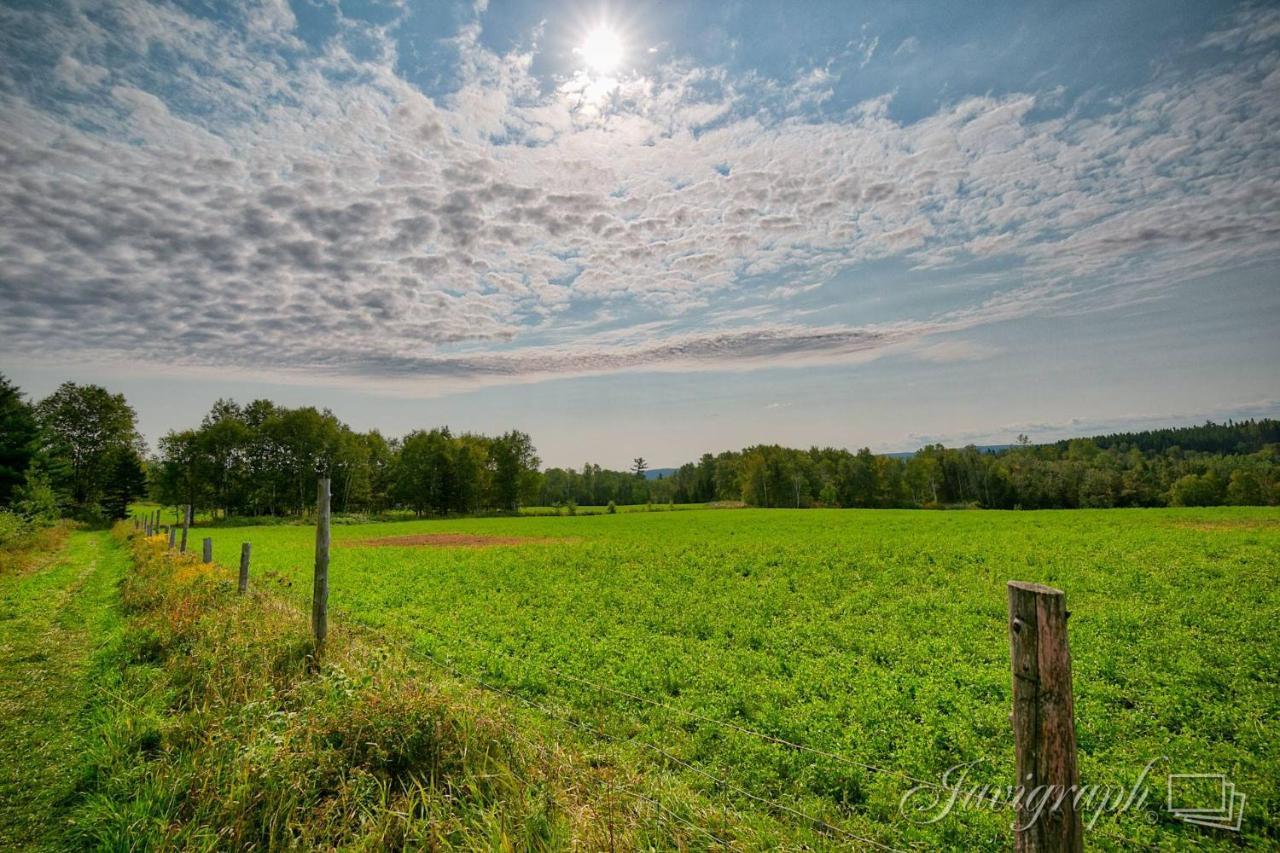 La Vieille Ferme, Ecogite Saint-Fulgence Exterior foto
